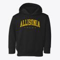 Allisonia Virginia Urban Vibe Toddler Hoodie additional view 1