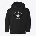 Galena Ohio Star Toddler Hoodie additional view 1