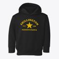 Shillington Pennsylvania Star Toddler Hoodie additional view 1