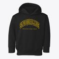 Snoqualmie Washington Inline Toddler Hoodie additional view 1