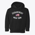 Cedarcrest New York Patriot Toddler Hoodie additional view 1