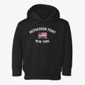 Mcpherson Point New York Patriot Toddler Hoodie additional view 1