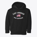 East Andover New Hampshire Patriot Toddler Hoodie additional view 1
