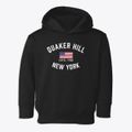 Quaker Hill New York Patriot Toddler Hoodie additional view 1