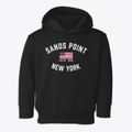 Sands Point New York Patriot Toddler Hoodie additional view 1