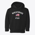 Wheatgrass Utah Patriot Toddler Hoodie additional view 1