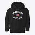 Cherrytown Maryland Patriot Toddler Hoodie additional view 1