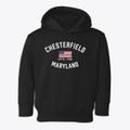 Chesterfield Maryland Patriot Toddler Hoodie additional view 1