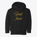 St. Johns Michigan Freestyle Toddler Hoodie additional view 1