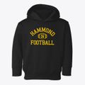 Hammond Indiana Football Toddler Hoodie additional view 1