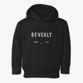 Beverly Ohio General Supply Toddler Hoodie additional product view 1