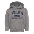 Woodlands New Hampshire Classic Established Toddler Hoodie additional view 1