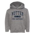 Nutter New Hampshire Classic Established Toddler Hoodie additional view 1