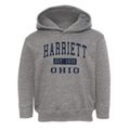 Harriett Ohio Classic Established Toddler Hoodie additional view 1