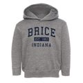 Brice Indiana Classic Established Toddler Hoodie additional view 1