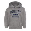 Owsley Missouri Classic Established Toddler Hoodie additional view 1