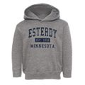 Esterdy Minnesota Classic Established Toddler Hoodie additional view 1