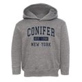 Conifer New York Classic Established Toddler Hoodie additional view 1