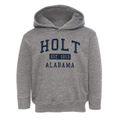 Holt Alabama Classic Established Toddler Hoodie additional view 1