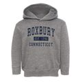 Roxbury Connecticut Classic Established Toddler Hoodie additional view 1