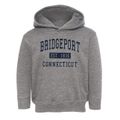 Bridgeport Connecticut Classic Established Toddler Hoodie additional view 1