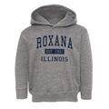 Roxana Illinois Classic Established Toddler Hoodie additional view 1