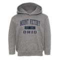 Mount Victory Ohio Classic Established Toddler Hoodie additional view 1
