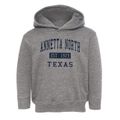 Annetta North Texas Classic Established Toddler Hoodie additional view 1
