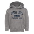 Piedra Aguza Puerto Rico Classic Established Toddler Hoodie additional view 1