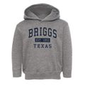 Briggs Texas Classic Established Toddler Hoodie additional view 1