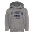 Grantsburg Illinois Classic Established Toddler Hoodie additional view 1