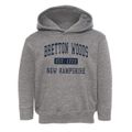 Bretton Woods New Hampshire Classic Established Toddler Hoodie additional view 1