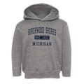 Birchwood Shores Michigan Classic Established Toddler Hoodie additional view 1