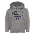 Relico Utah Classic Established Toddler Hoodie additional view 1