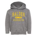 Balder Washington Classic Established Toddler Hoodie additional view 1