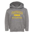 Stewartstown Hollow New Hampshire Classic Established Toddler Hoodie additional view 1