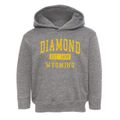 Diamond Wyoming Classic Established Toddler Hoodie additional view 1