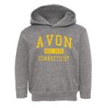 Avon Connecticut Classic Established Toddler Hoodie additional view 1