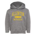 Allenton Missouri Classic Established Toddler Hoodie additional view 1