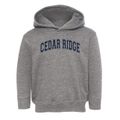 Cedar Ridge Elementary School Varsity Arch Toddler Hoodie additional view 1