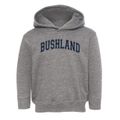 Bushland Elementary School Varsity Arch Toddler Hoodie additional view 1