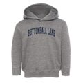 Buttonball Lane Elementary School Varsity Arch Toddler Hoodie additional view 1