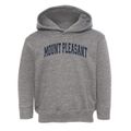 Mount Pleasant Community High School Varsity Arch Toddler Hoodie additional view 1