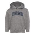 Desert Springs Scholastic Institute Varsity Arch Toddler Hoodie additional view 1