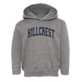 Hillcrest Lutheran Academy Varsity Arch Toddler Hoodie additional view 1
