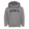 Buckeye Career Center Varsity Arch Toddler Hoodie additional view 1