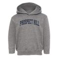 Prospect Hill Farm Iea Team Varsity Arch Toddler Hoodie additional view 1