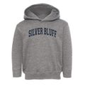 Silver Bluff High School Varsity Arch Toddler Hoodie additional view 1