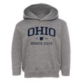 Ohio Slogan Toddler Hoodie additional view 1