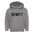 Dewitt Iowa Classic Block Toddler Hoodie additional view 1